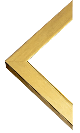 Prodigi Classic Antique gold frame corner photograph