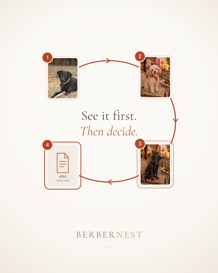 Four steps: add a photo, choose a look, preview free, then choose your file or frame